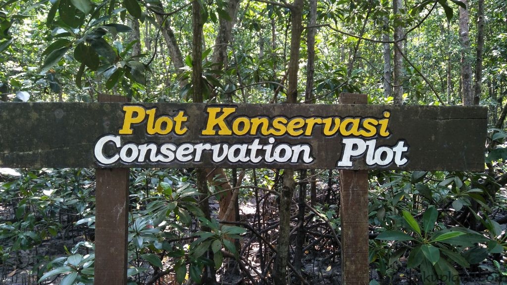 Conservation plot for mangrove