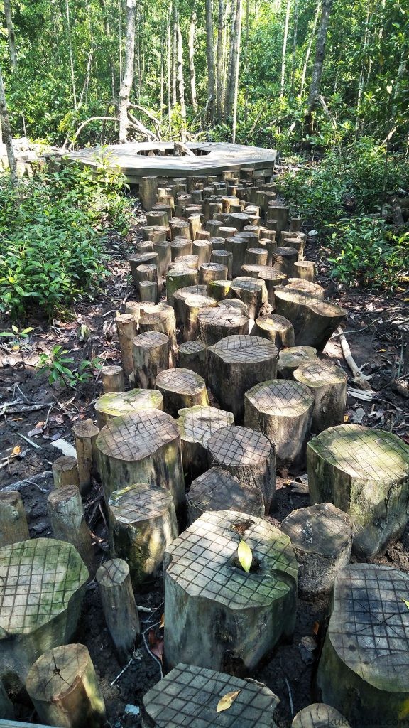 Unique log walkway