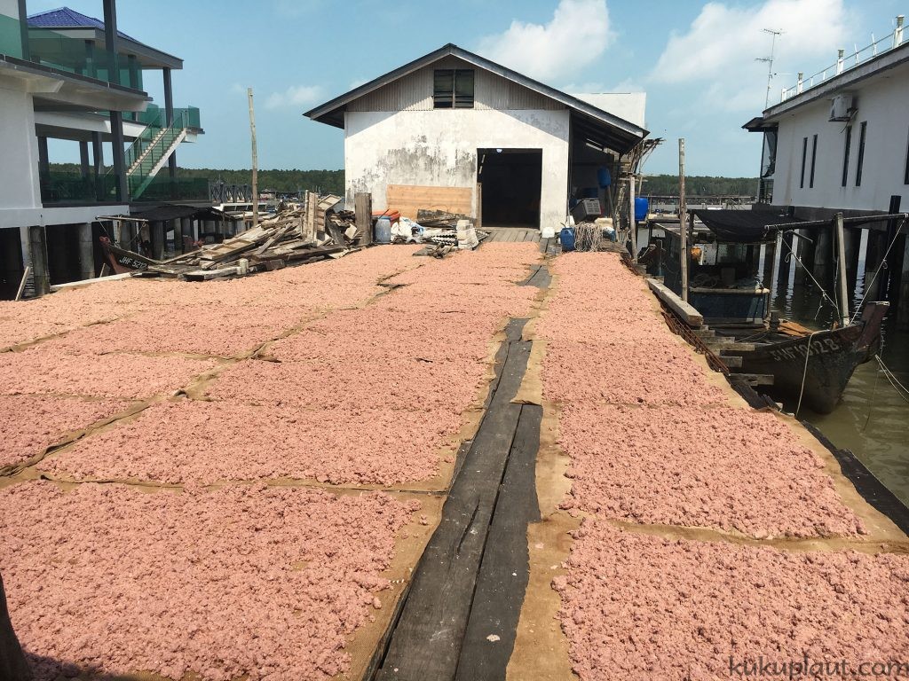 Drying of the shrimps used to make cincalok and belacan